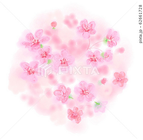 春 桜 はる 季節 さくら サクラ ピンク シーズン きれいな 綺麗な キレイな かわいい 和風 筆のイラスト素材
