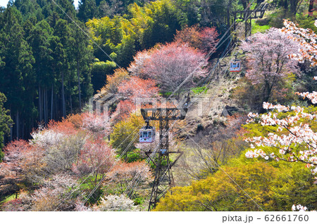 桜景 吉野山 桜景 吉野山 62661760
