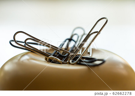Paper clips in beige plastic oval box on white acrylic background, Close up & Macro shot, Business, Education, Stationery concept Paper clips in beige plastic oval box on white acrylic background, Close up & Macro shot, Business, Education, Stationery concept 62662278
