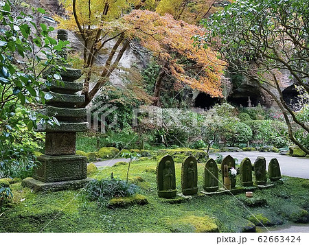 鎌倉・秋の報国寺 鎌倉・秋の報国寺 62663424