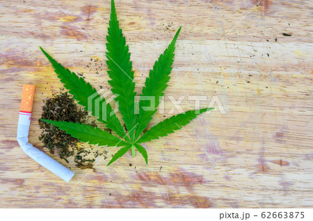 marijuana joints and buds 62663875