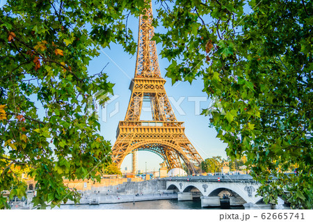 Eiffel tower, Paris. France view through maple leaf 62665741