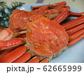 ズワイガニ 62665999