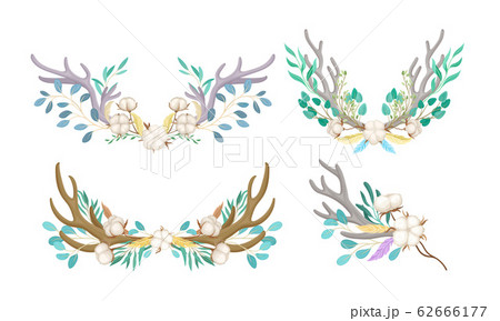 Botanical Composition with Deer Horns and Cotton Flowers Vector Set 62666177