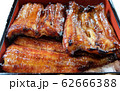 うなぎの蒲焼き 62666388