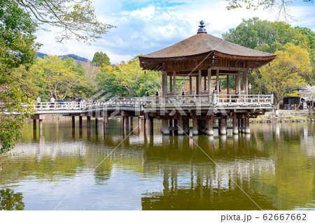 浮見堂の桜 奈良公園 62667662