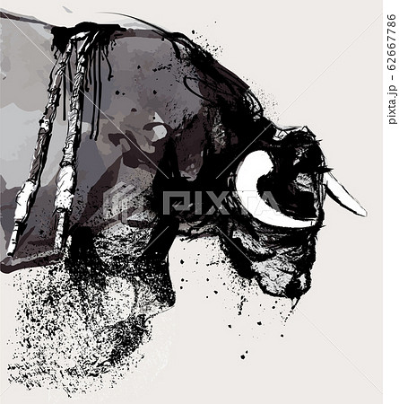 Bull during corrida in Portugal Bull during corrida in Portugal 62667786