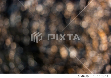 Background images, large palm tree trunks taking pictures at night after rain Background images, large palm tree trunks taking pictures at night after rain 62668023