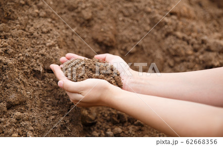 closeup hand of person holding abundance soil. 62668356