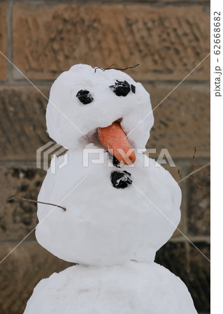 雪だるま樣 Amazon.co.jp: 雪ダルマちゃん for you (S) レッド YDF-0148R