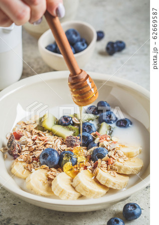 Muesli with yogurt, fruits and honey  62669587