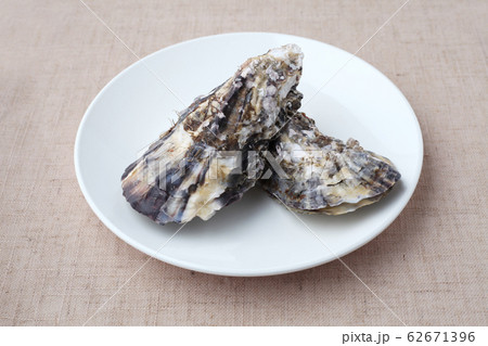 茹でた 牡蠣 カキ テーブルクロス 茹でた 牡蠣 カキ テーブルクロス 62671396