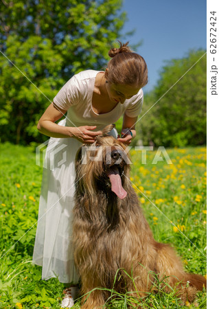 A girl in a white dress and her pet shepherd dog, briard are playing on the spring meadow. A girl in a white dress and her pet shepherd dog, briard are playing on the spring meadow. 62672424