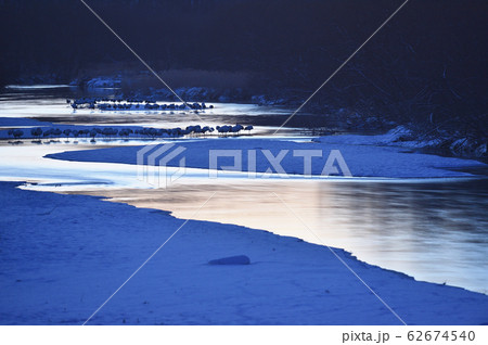 夜明け前のタンチョウのねぐら(北海道) 夜明け前のタンチョウのねぐら(北海道) 62674540