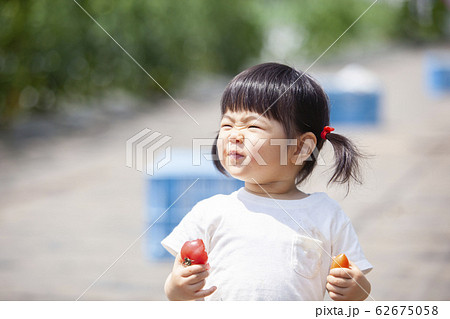 トマトを食べる女の子 62675058