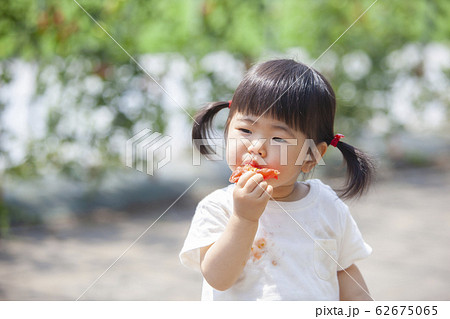 トマトを食べる女の子 トマトを食べる女の子 62675065