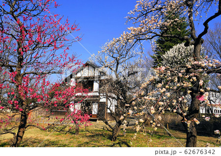 2月　府中98梅まつりと旧府中郵便取扱所･府中郷土の森 62676342