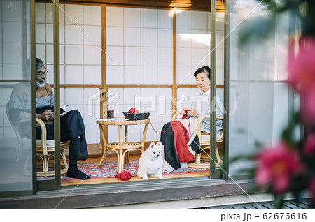 犬とくつろぐシニア夫婦 62676616