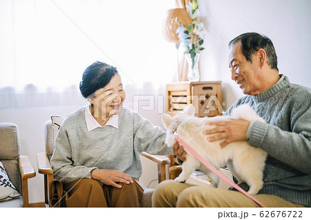 犬とシニア 62676722