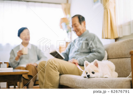 犬とシニア 62676791