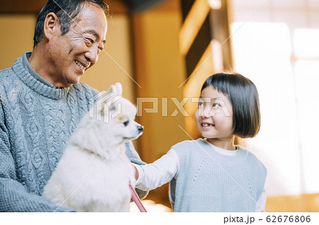 女の子と犬とシニア 女の子と犬とシニア 62676806