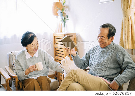 犬とシニア 犬とシニア 62676817