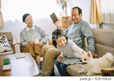 犬とシニア 犬とシニア 62676818