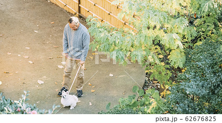 犬とシニア 62676825