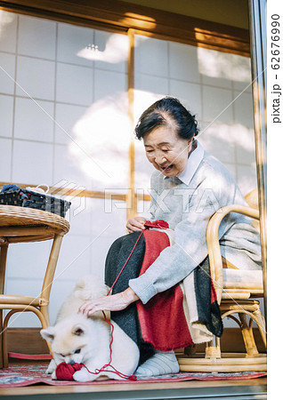 犬とくつろぐシニア 犬とくつろぐシニア 62676990