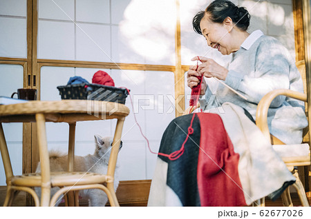 犬とくつろぐシニア 犬とくつろぐシニア 62677026