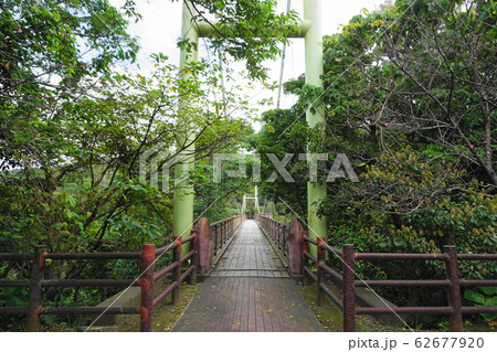 名護グスク公園さくら橋 62677920