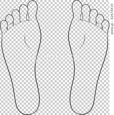 Soles line drawing 62678419