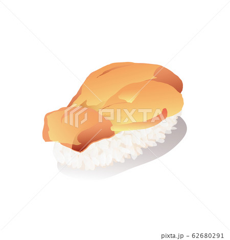 赤貝握り寿司のイラスト素材