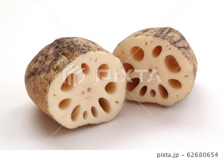 れんこん れんこん 62680654