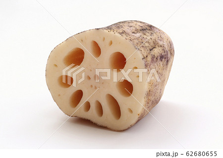 れんこん れんこん 62680655