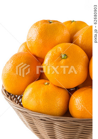 温州みかん 温州みかん 62680903