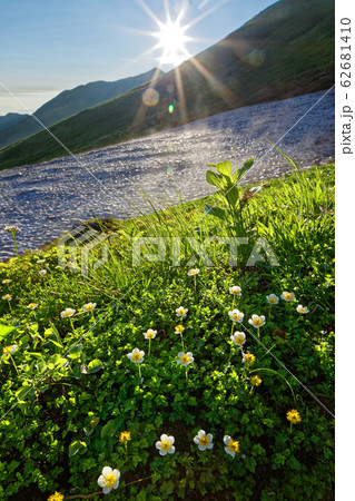 飯豊連峰・御西岳付近のチングルマ群落と朝日 飯豊連峰・御西岳付近のチングルマ群落と朝日 62681410