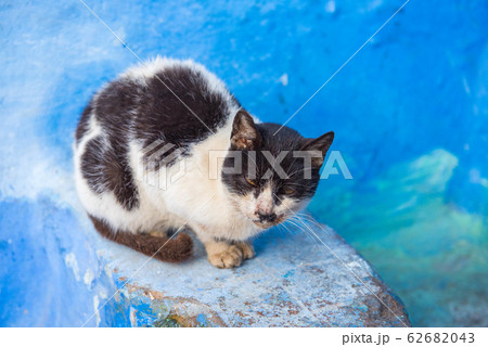 モロッコ　青い街　シャフシャウエン 62682043