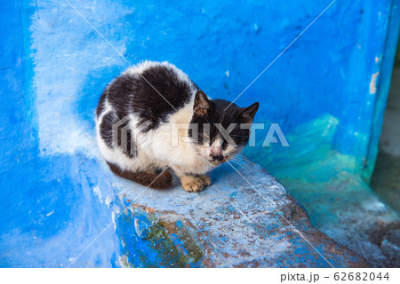 モロッコ 青い街 シャフシャウエン モロッコ 青い街 シャフシャウエン 62682044