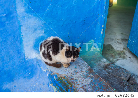 モロッコ　青い街　シャフシャウエン 62682045