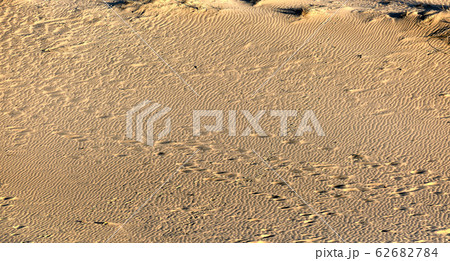 Patterns of nordic sand dunes and Baltic sea at Curonian spit, Nida, Klaipeda, Lithuania 62682784