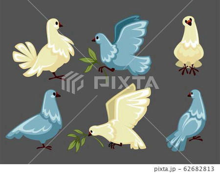 Pigeon Or White Dove Flying With Olive Branch のイラスト素材