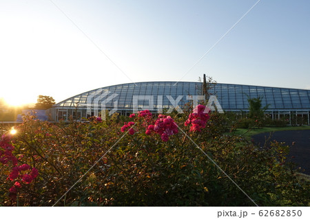 最上川ふるさと総合公園 最上川ふるさと総合公園 62682850