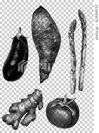 なす さつまいも アスパラガス 生姜 トマト 野菜 のイラスト素材 62684032 Pixta