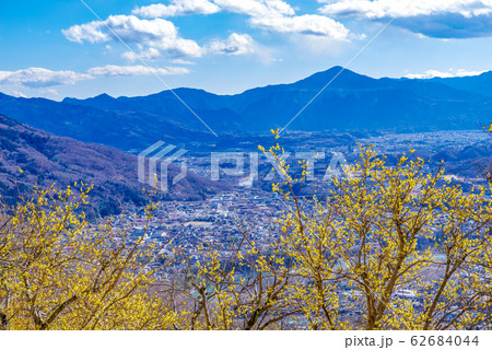 宝登山ロウバイ園と秩父の街並み【埼玉県長瀞町】 宝登山ロウバイ園と秩父の街並み【埼玉県長瀞町】 62684044