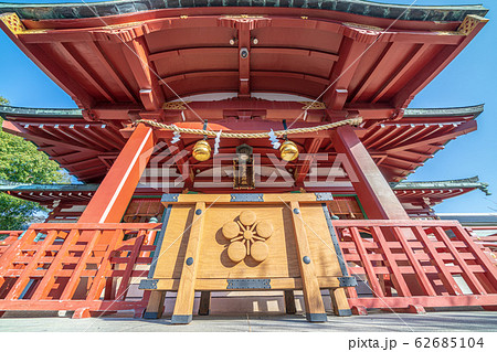 東京都　早春の亀戸天神社 62685104