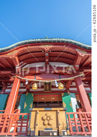 東京都　早春の亀戸天神社 62685106