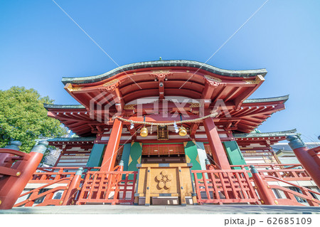東京都　早春の亀戸天神社 62685109