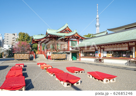 東京都　早春の亀戸天神社 62685246