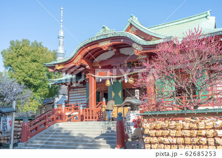 東京都　早春の亀戸天神社 62685253
